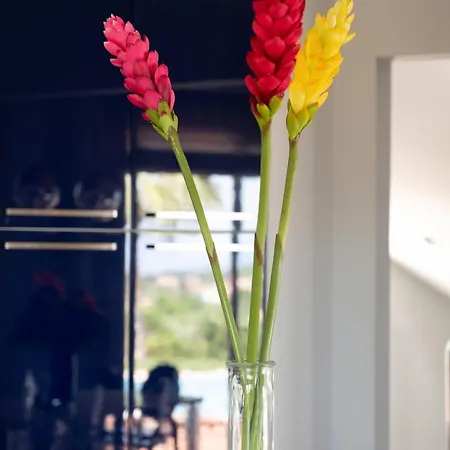 3 Palm דירה *