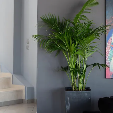 Apartment 3 Palm *