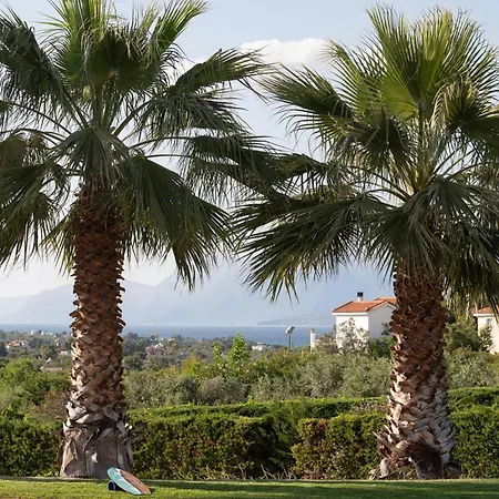 3 Palm Chalkís
