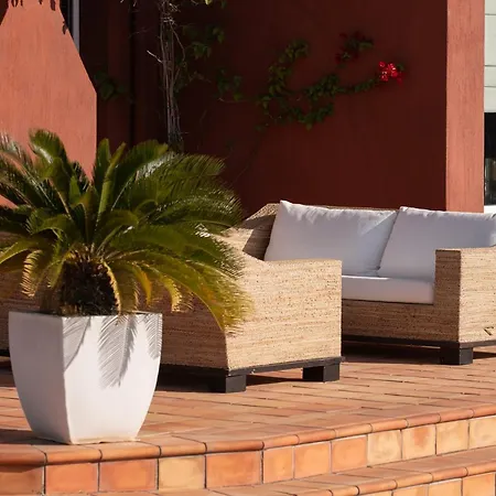 3 Palm Apartment Chalkís